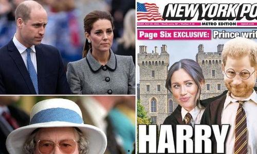 哈利王子 爆料视频大全,揭秘王室幕后真相